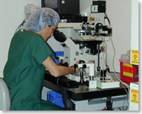 embryology-lab-microscope